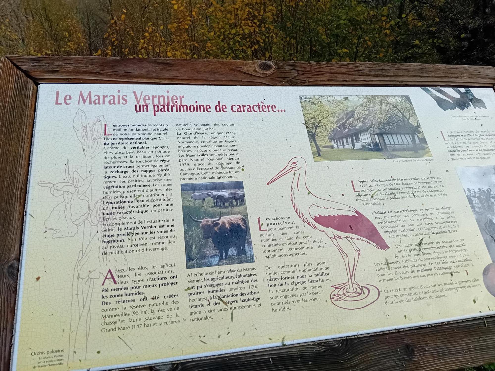 Gite Du Roy Marais-Vernier Zewnętrze zdjęcie